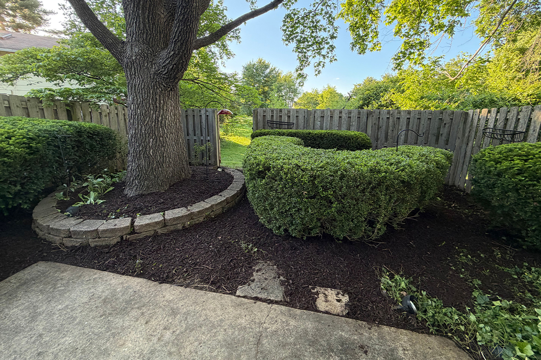 shrubTrimming