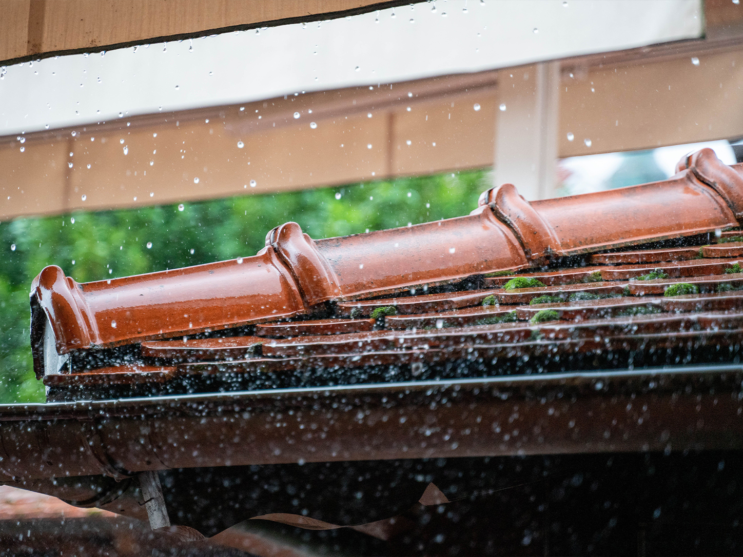 Gutter